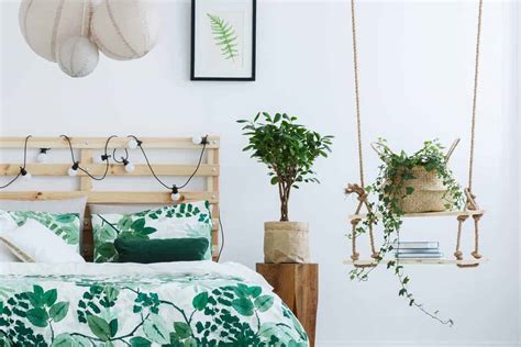 Hanging Plants Bedroom