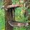 Hanging Tree Stand