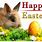 Happy Easter Bunny Rabbit