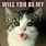 Happy Valentine's Day Cat Memes