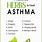 Herbal Plant for Asthma