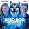 Hero Dog Movie
