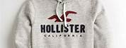 Hollister Hoodies for Men Tiy DIY