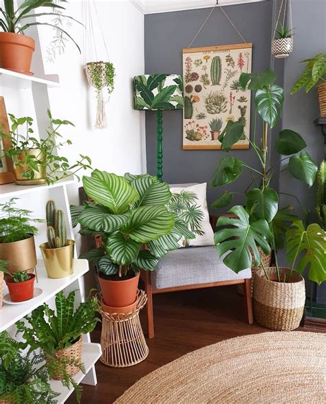 Home Decor with Plants