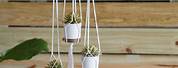 Homemade Plant Hanger Hooks
