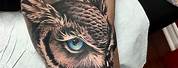 Horned Owl Tattoo Drawing