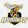 Hornet Sports Logo
