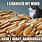 Hot Dog Cat Meme