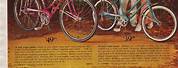 Houston Oilers Bicycle Sears Catalog