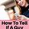 How to Tell If a Guy Likes You On Text