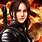 Hunger Games Video Game