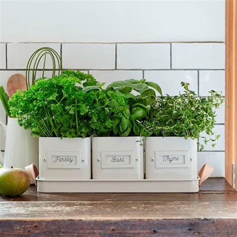Indoor Herb Garden Container Ideas