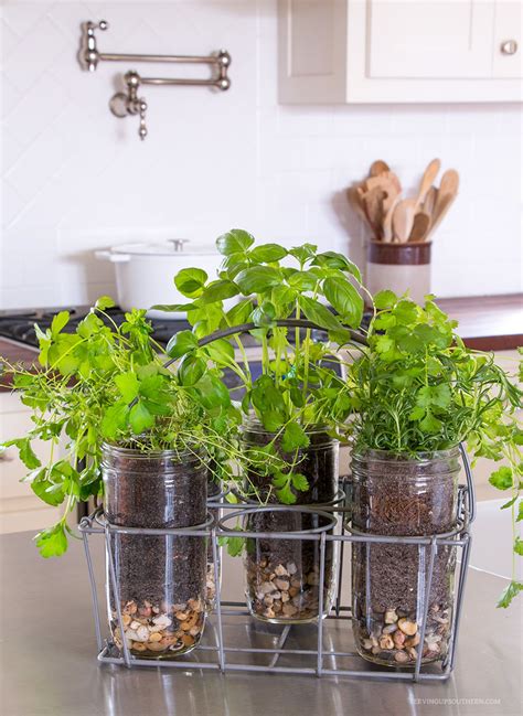 Indoor Herb Garden Design Ideas