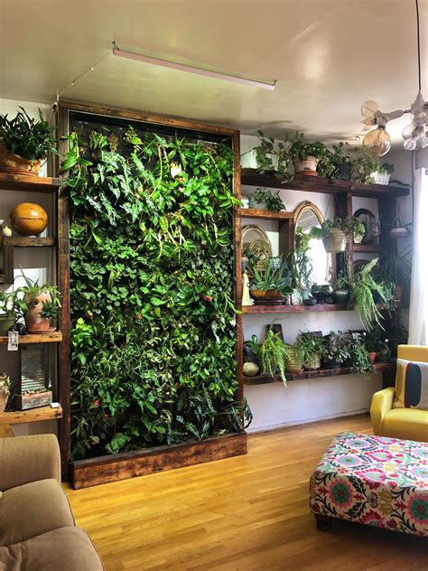 Indoor Plant Garden Ideas