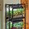 Indoor Vegetable Growing Systems