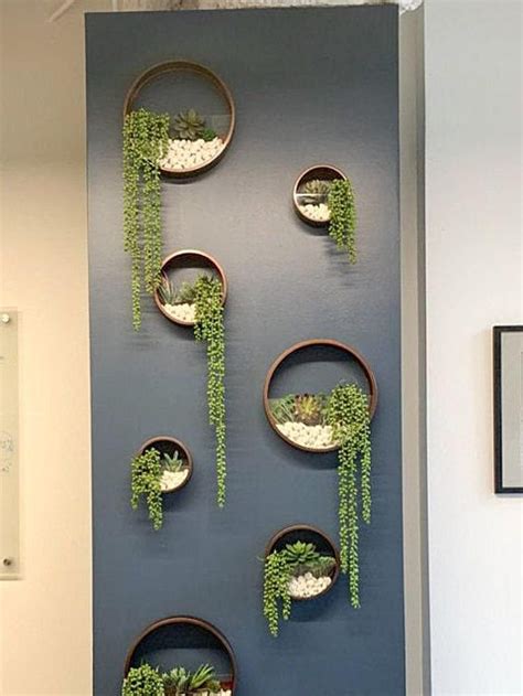 Indoor Wall Hanging Plants