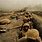 Iran Iraq War Trenches
