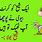 Jokes Urdu SMS