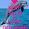 Keep Calm and Love Dolphins