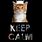 Keep Calm and Love Kittens
