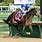 Kentucky Derby 2020 Horse Contenders