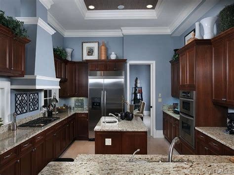 Kitchen Wall Colors with Dark Cabinets
