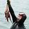 Korea Island Jeju Women Divers