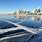 Lake Ontario Frozen