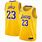 LeBron James Lakers Jersey 23
