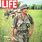 Life Magazine Vietnam War