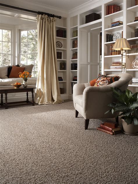 Living Room Ideas with Brown Carpet
