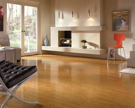 Living Room Ideas with Wood Floors