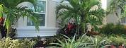 Low Maintenance Front Yard Landscaping with Palm Trees