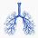 Lung Bronchial