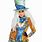 Mad Hatter Woman Costume