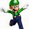 Mario 64 DS Luigi