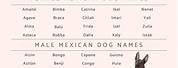 Mexican Food Pet Names