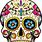 Mexican Skull Artwork