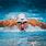 Michael Phelps Swimmer