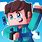Minecraft Animated Profile