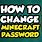 Minecraft Password