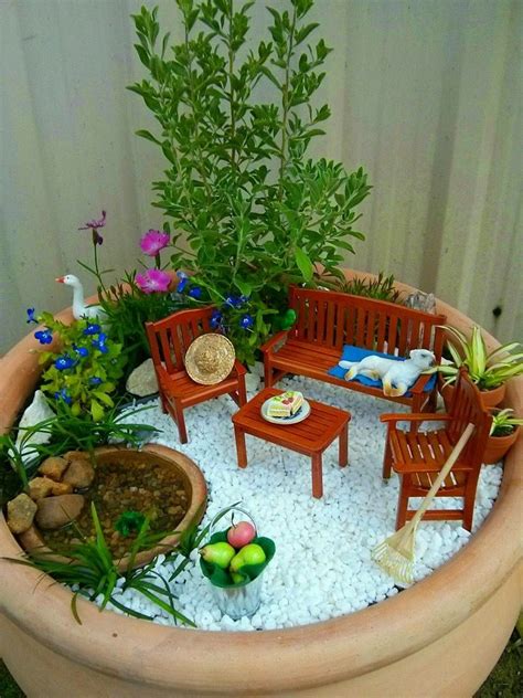Mini Indoor Garden
