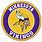Minnesota Vikings Football Logo