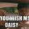 Miss Daisy Meme
