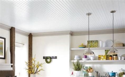 Mobile Home Ceiling Replacement Ideas