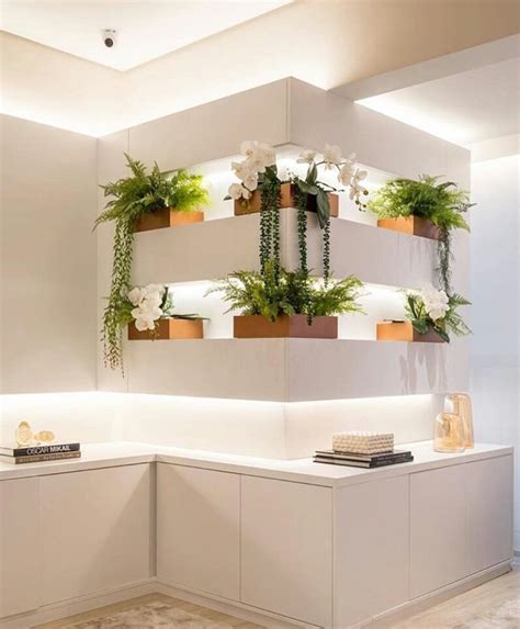 Modern Interior Plants