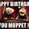 Muppet Birthday Memes