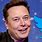 Musk Buy Twitter Icon