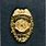 NCIS Credentials Badge