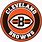 NFL Cleveland Browns Logo